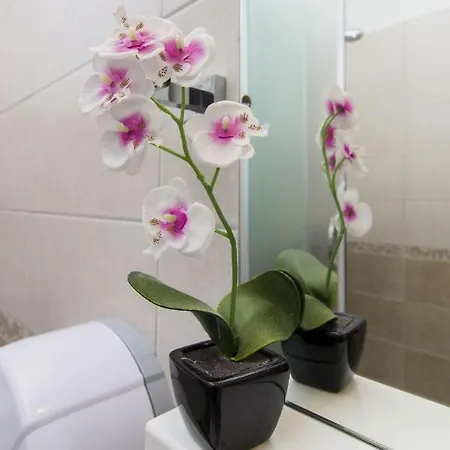 Lenija Appartamento Jadrija