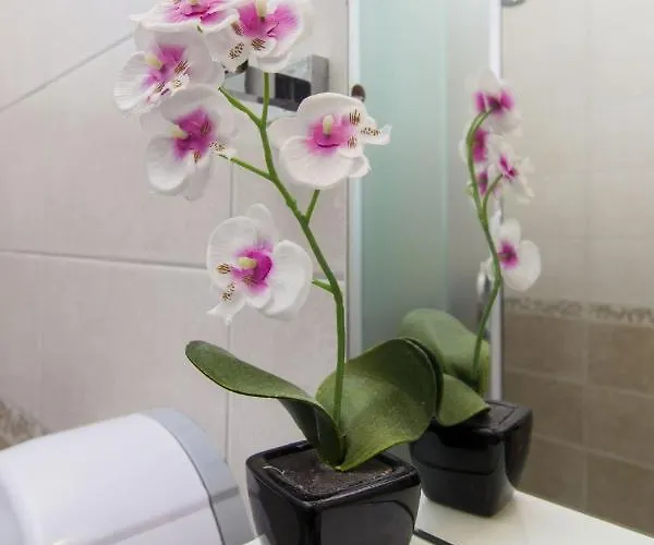 Lenija Apartamento Jadrija